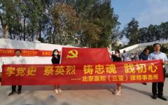 瀛和三亚：学党史 祭英烈 铸忠魂 践初心