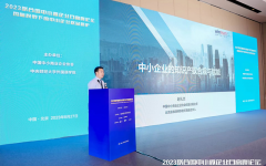 瀛和律师受邀参加2023联合国中小微企业日高峰论坛